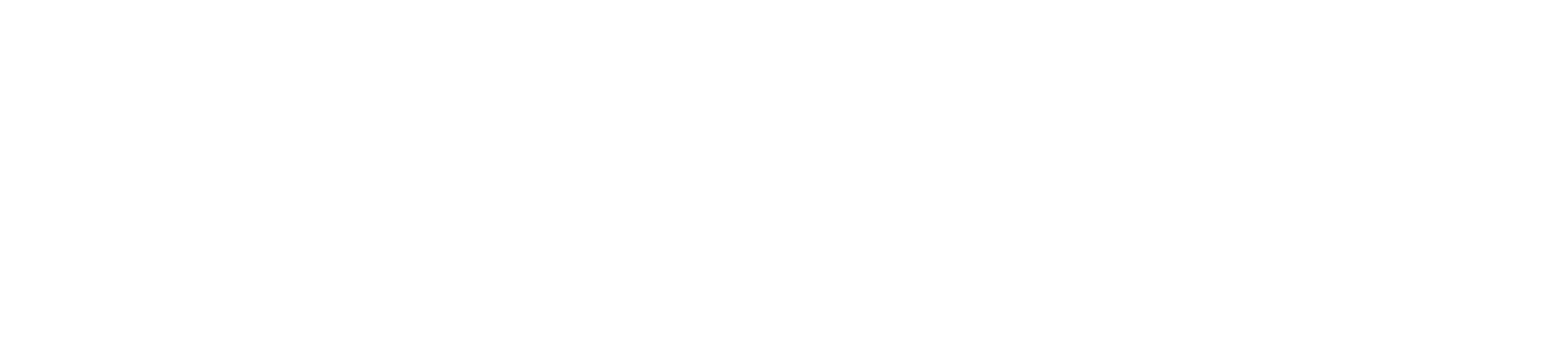 Wed Society_Main Logo-White